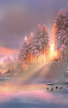 the sun shines brightly through the clouds over a snowy landscape with trees and ducks