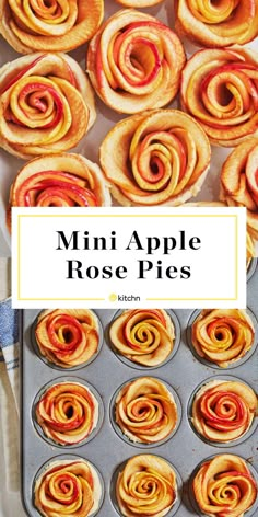 mini apple rose pies in a muffin tin with the title overlay above it