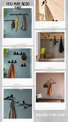 several pictures of birds hanging from hooks on the wall, with text that reads you may also like