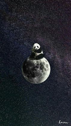 a panda bear sitting on top of the moon