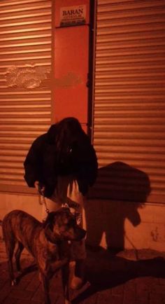 two dogs standing next to each other in front of a building with shuttered doors