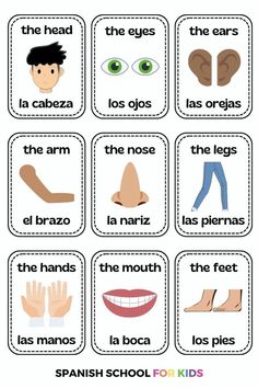 the spanish words and pictures are used to teach children how to use them in their own language