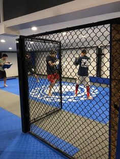 some kids are practicing boxing in a caged area with blue mats and lights on the ceiling