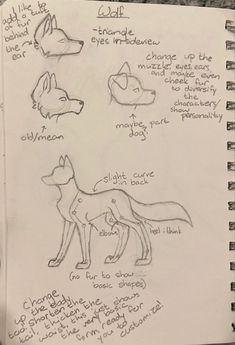 a notebook with some drawings on it and writing about the different types of dogs in each