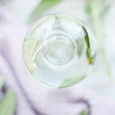 a glass ball with leaves on it and water in the middle, as seen from above