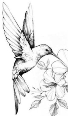 a drawing of a hummingbird flying with flowers in the foreground and behind it