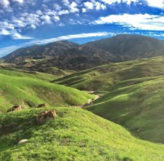 the rolling hills are covered in green grass and blue skies with white clouds above them