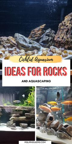 an aquarium with rocks and fish in it