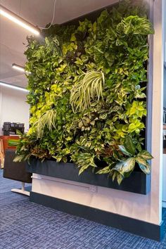 a green wall in an office building with plants growing on the side and below it