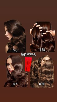 Gold Rizos| Tienda de cosméticos y productos de belleza 🛍 | Conoce los tonos chocolate 🍫 que son tendencia este 2024 de la marca igora royal todos disponibles en Gold Rizos #igoraroyal #schwarzkopf … | Instagram Igora Hair Color Formulas, Chocolate Auburn Hair, Igora Hair Color, Schwarzkopf Hair Color, Brown Hair Inspo, Hair Color Formulas, Royal Colors, Auburn Hair, February 10