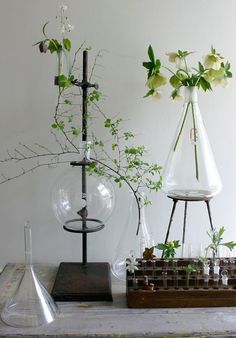 three glass vases with flowers and plants in them