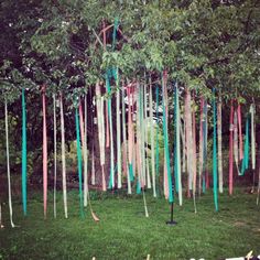 there are many ribbons hanging from the trees