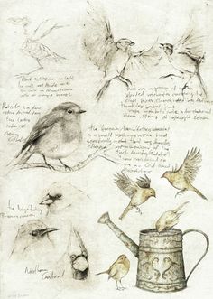 sketches of birds sitting on top of a watering can next to a drawing by an artist