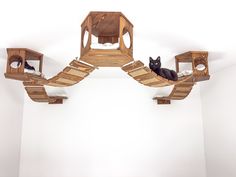 two cats sitting on wooden cat houses in the middle of a room with white walls