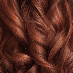 4r Hair Color, Burgundy Hair Copper Highlights, Ion Hair Color Formulas, Copper Medium Hair, Ion Copper Hair Color, Medium Copper Brown Hair Color, Copper Brown Hair Formula, Medium Copper Brown Hair, Copper Brown Hair Dye