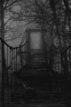 an old bridge in the woods on a foggy day