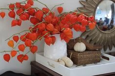 red flowers are in a white vase on a small table next to a mirror and pumpkins