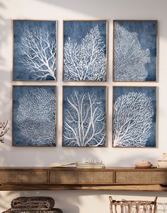 four blue and white sea corals are hanging on the wall above a wooden table