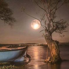 a boat sitting on top of a lake under a moon lit sky next to a tree