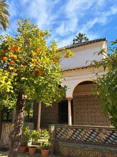 an orange tree in front of a white building with tiled walls and trees around it