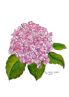 a drawing of a pink flower with green leaves