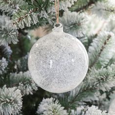 a glass ornament hanging from a tree with snow flakes on the branches