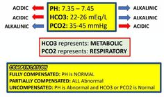 the labels are labeled in red and blue, with arrows pointing to different areas on them