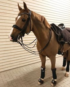 a brown horse standing on top of a brick floor next to a white garage door