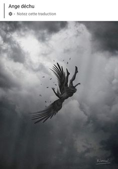 a black and white photo of a bird flying in the sky with dark clouds behind it