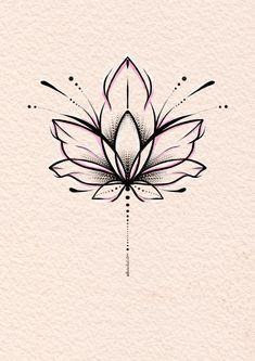 a drawing of a lotus flower on paper