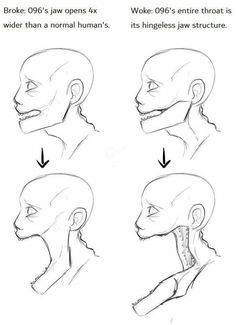 how to draw the head and neck in different ways, with instructions for each part