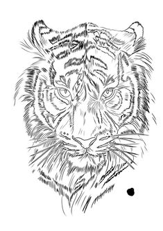 a black and white drawing of a tiger's face