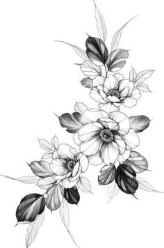 black and white drawing of flowers on a branch with leaves in the middle, against a white background