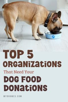 5 Excellent Organizations to Donate Dog Food to - Dog charity [Click to read the article] 	Top 5 Organizations That Need Your Dog Food Donations Animal Shelter Donations, Tips For Organizing