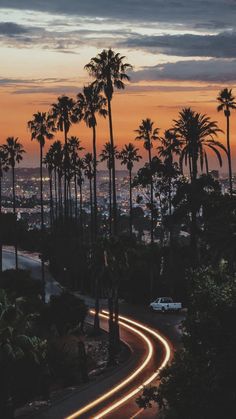 the sun is setting behind palm trees and cars are driving down the road in front of them