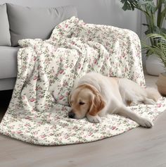 a dog laying on top of a flower covered blanket