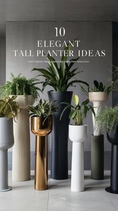 there are many different vases that have plants in them and the words, 10 elegant tall planter ideas