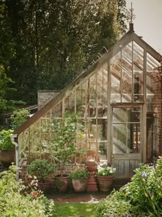 an old greenhouse with potted plants in it