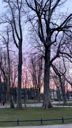 the sun is setting behind some trees in a park with no leaves on them and people walking around