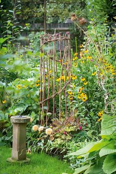 a garden with lots of plants and flowers in the background, including an iron trellis