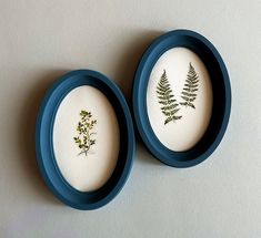 two small blue plates with pressed plants in them