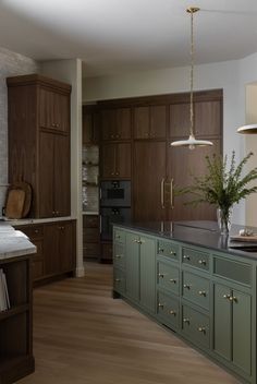 a kitchen with green cabinets and wooden floors