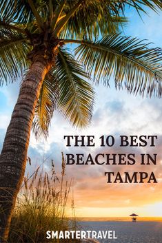 a palm tree on the beach with text overlay that reads, the 10 best beaches in tampa