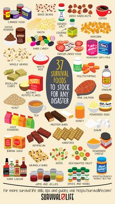 an info poster showing the different types of food