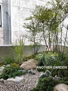 an outdoor garden with rocks and plants