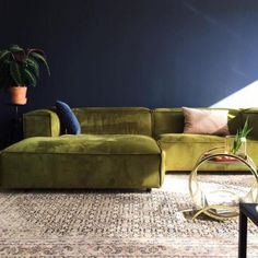 a living room filled with furniture and a large green couch next to a plant on top of a rug