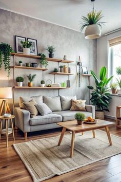 a living room filled with furniture and lots of plants on the shelves above it's windows