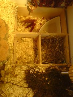 a wooden box filled with lots of dirt and grass next to a toilet paper dispenser