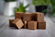 small wooden cubes sitting on top of a table next to a potted plant