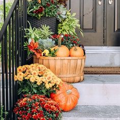 some pumpkins and flowers are sitting on the steps